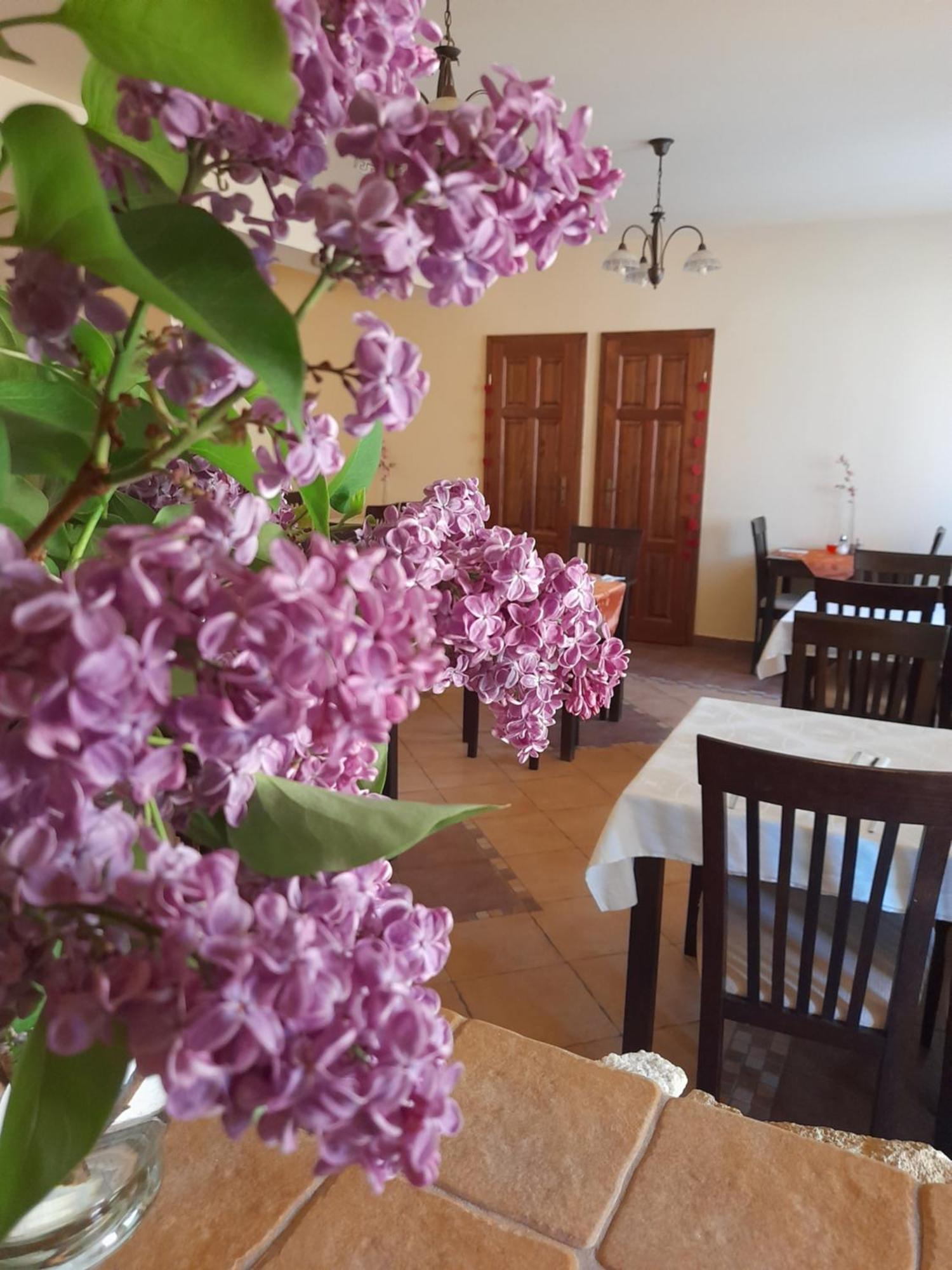Harmonia Wellness Villa Szilvasvarad Ngoại thất bức ảnh